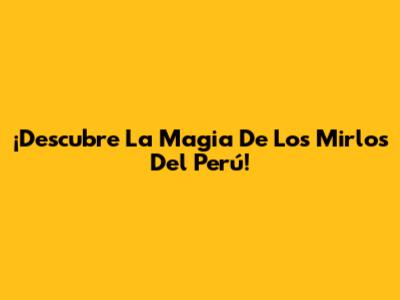 ¡Descubre La Magia De Los Mirlos Del Perú!