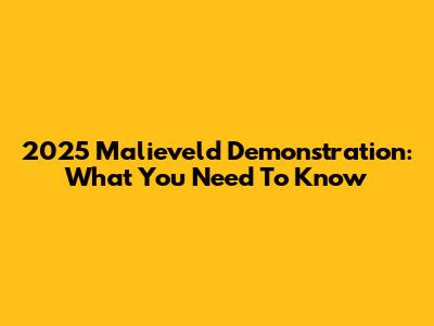 2025 Malieveld Demonstration: What You Need To Know