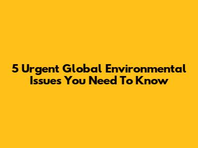 5 Urgent Global Environmental Issues You Need To Know