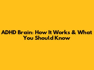 ADHD Brain: How It Works & What You Should Know