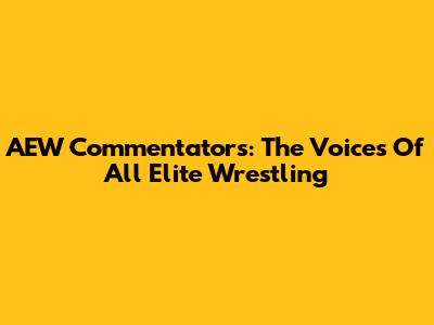 AEW Commentators: The Voices Of All Elite Wrestling