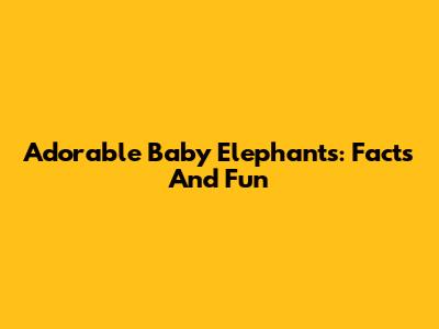 Adorable Baby Elephants: Facts And Fun