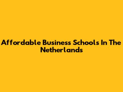 Affordable Business Schools In The Netherlands