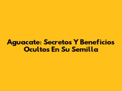 Aguacate: Secretos Y Beneficios Ocultos En Su Semilla