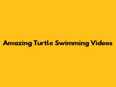 Amazing Turtle Swimming Videos