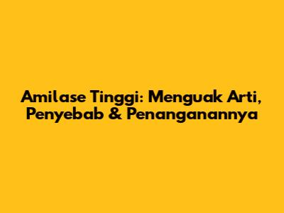 Amilase Tinggi: Menguak Arti, Penyebab & Penanganannya