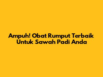 Ampuh! Obat Rumput Terbaik Untuk Sawah Padi Anda