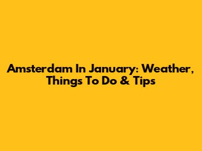 Amsterdam In January: Weather, Things To Do & Tips