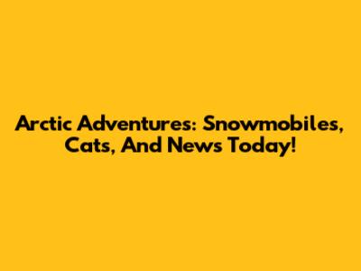 Arctic Adventures: Snowmobiles, Cats, And News Today!