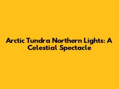 Arctic Tundra Northern Lights: A Celestial Spectacle