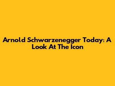 Arnold Schwarzenegger Today: A Look At The Icon