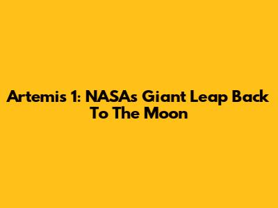 Artemis 1: NASA's Giant Leap Back To The Moon