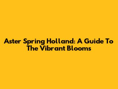 Aster Spring Holland: A Guide To The Vibrant Blooms