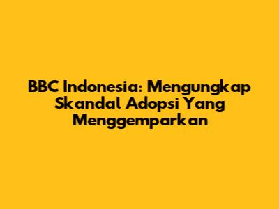 BBC Indonesia: Mengungkap Skandal Adopsi Yang Menggemparkan