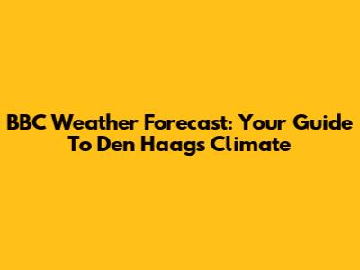 BBC Weather Forecast: Your Guide To Den Haag's Climate