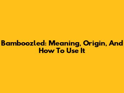 Bamboozled: Meaning, Origin, And How To Use It