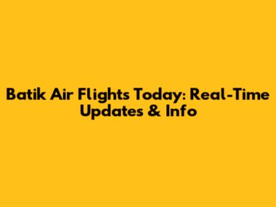 Batik Air Flights Today: Real-Time Updates & Info