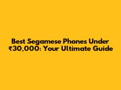Best Segamese Phones Under ₹30,000: Your Ultimate Guide