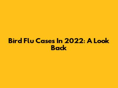 Bird Flu Cases In 2022: A Look Back