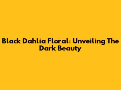 Black Dahlia Floral: Unveiling The Dark Beauty