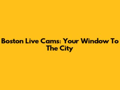 Boston Live Cams: Your Window To The City