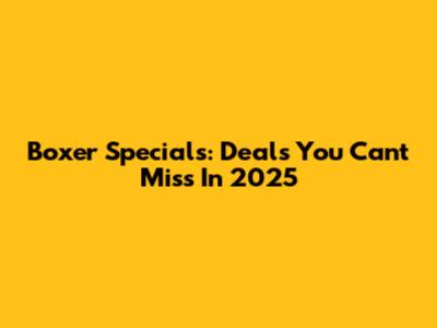 Boxer Specials: Deals You Can't Miss In 2025