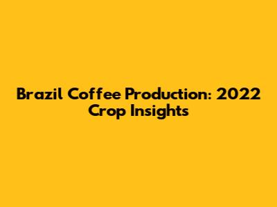 Brazil Coffee Production: 2022 Crop Insights