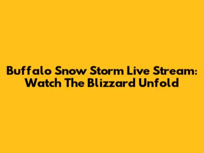 Buffalo Snow Storm Live Stream: Watch The Blizzard Unfold