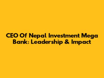 CEO Of Nepal Investment Mega Bank: Leadership & Impact