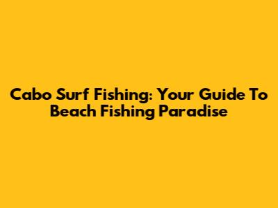 Cabo Surf Fishing: Your Guide To Beach Fishing Paradise