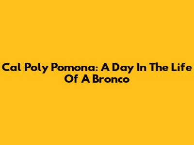 Cal Poly Pomona: A Day In The Life Of A Bronco