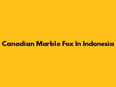 Canadian Marble Fox In Indonesia