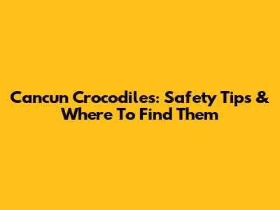 Cancun Crocodiles: Safety Tips & Where To Find Them