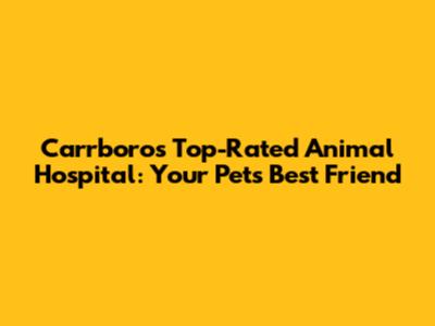 Carrboro's Top-Rated Animal Hospital: Your Pet's Best Friend