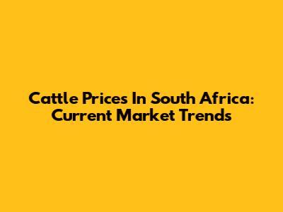 Cattle Prices In South Africa: Current Market Trends