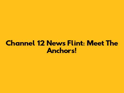 Channel 12 News Flint: Meet The Anchors!