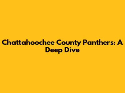 Chattahoochee County Panthers: A Deep Dive