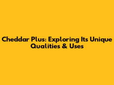 Cheddar Plus: Exploring Its Unique Qualities & Uses