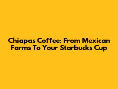 Chiapas Coffee: From Mexican Farms To Your Starbucks Cup