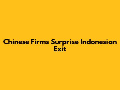 Chinese Firm's Surprise Indonesian Exit