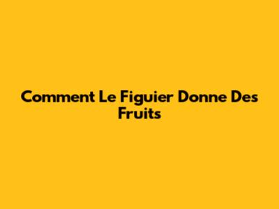 Comment Le Figuier Donne Des Fruits