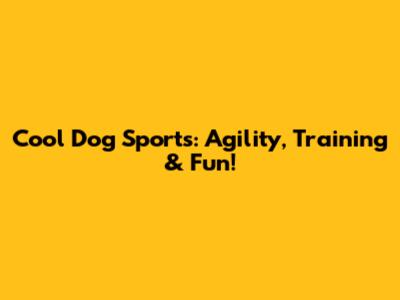 Cool Dog Sports:  Agility, Training & Fun!