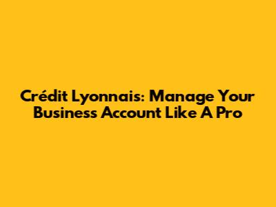 Crédit Lyonnais: Manage Your Business Account Like A Pro