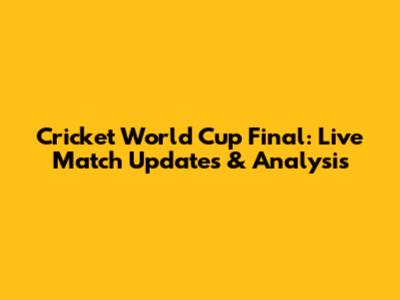 Cricket World Cup Final: Live Match Updates & Analysis