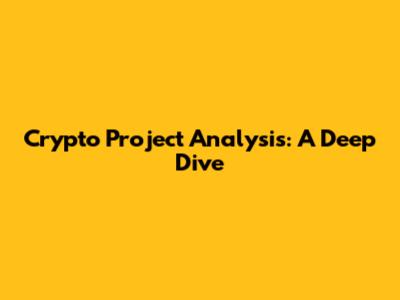 Crypto Project Analysis: A Deep Dive