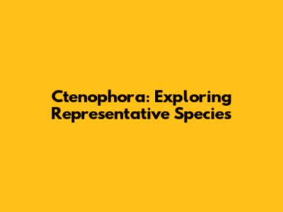 Ctenophora: Exploring Representative Species