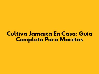 Cultiva Jamaica En Casa: Guía Completa Para Macetas