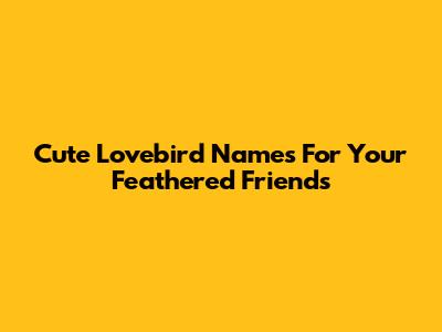 Cute Lovebird Names For Your Feathered Friends