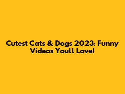Cutest Cats & Dogs 2023: Funny Videos You'll Love!