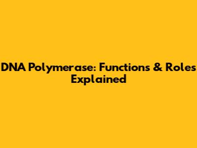 DNA Polymerase: Functions & Roles Explained